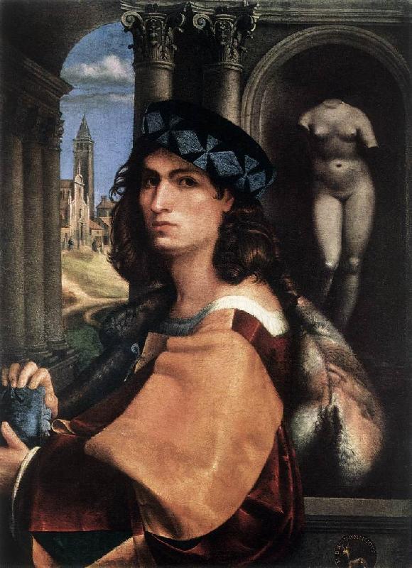 CAPRIOLO, Domenico Portrait of a Man df oil painting image